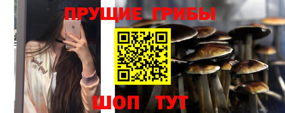 Ипатово  Псилоцибиновые грибы Cubensis  Вход с VPN 
