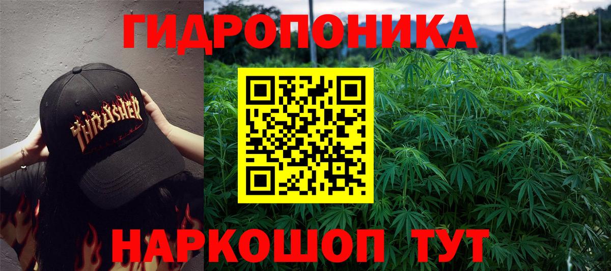 Каннабис ГИДРОПОН  Вход с VPN  Ипатово  Марихуана тримм 